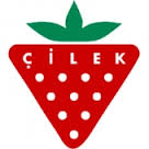 Çilek Mobilya 