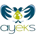 Ayeks Kimya