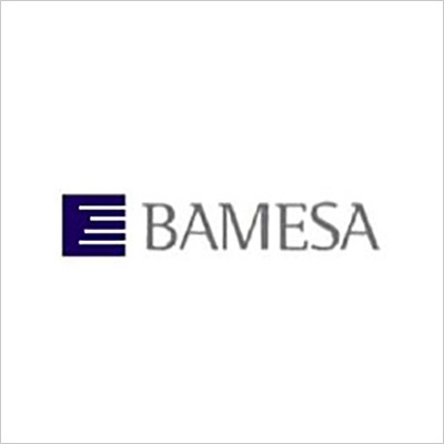 Bamesa